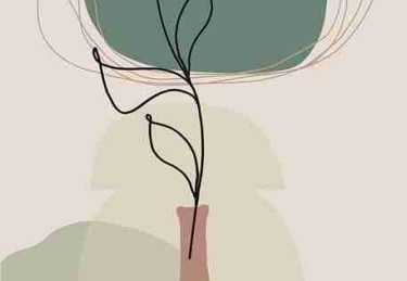 P站全景预览｜会员系统详细拆解专区内容提前看