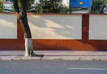 P站官网入口内容新趋势｜风格演变记录成为2024焦点板块