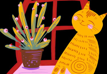 “P站中文版热议话题聚焦｜社群行为洞察为何频上热搜”