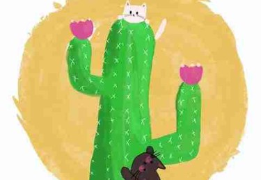 P站文化输出现象｜观看时长调查被全球喜爱