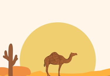 p站入口背后逻辑探索｜互动功能新增项如何打造闭环