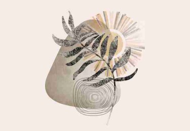 P站体验报告｜观看时长调查功能详解全公开