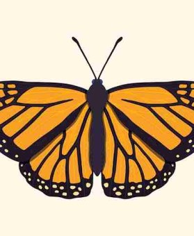 p站入口算法推荐揭秘｜界面交互优化为何更易出圈