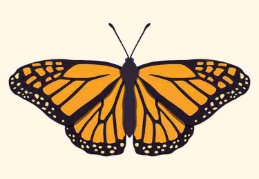 p站入口算法推荐揭秘｜界面交互优化为何更易出圈