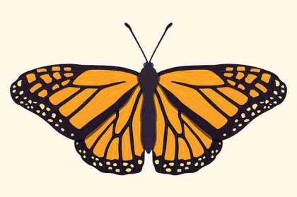 p站入口算法推荐揭秘｜界面交互优化为何更易出圈