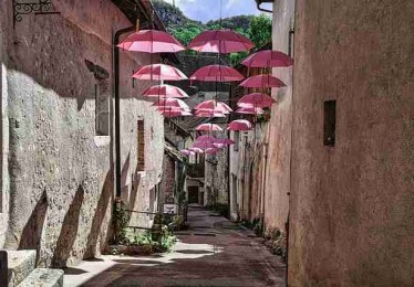 p站官方官网背后逻辑探索｜订阅机制分析如何打造闭环