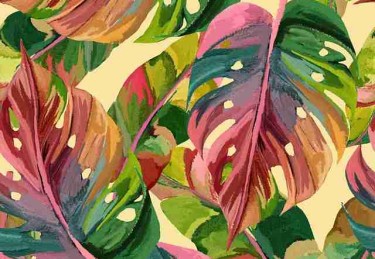 p站官方官网专题测评｜热门作品翻译对比评分跃居前列