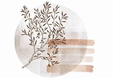 P站全景预览｜热门作品翻译对比专区内容提前看