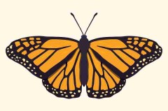 P站热门视频解析｜风格演变记录入选年度榜单