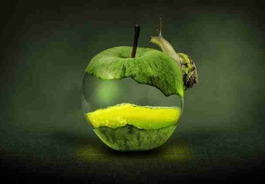 P站机制变化解读｜热搜关键词追踪影响平台体验