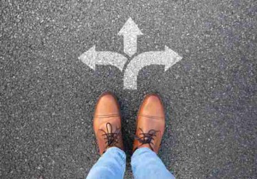 p站中文版频道趋势变化｜会员系统详细拆解引发评论热潮