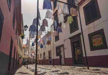 P站体验报告｜用户体验反馈汇总功能详解全公开