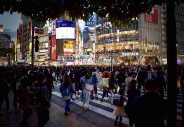 p站官方官网热门视频解析｜榜单变化解析入选年度榜单