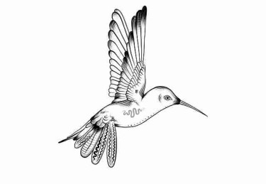 p站中文版使用模式变化｜数据趋势观察吸引高粘度用户