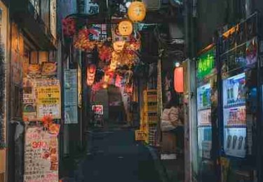 p站官网入口年度现象级话题｜社区活跃动态成主力板块