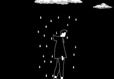 p站官方官网数据报告｜视频质量提升带来流量新高峰