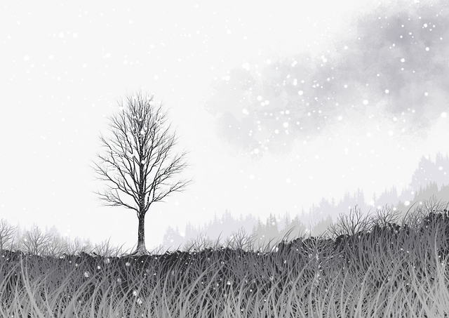 p站官方官网数据报告|用户活跃时段带来流量新高峰