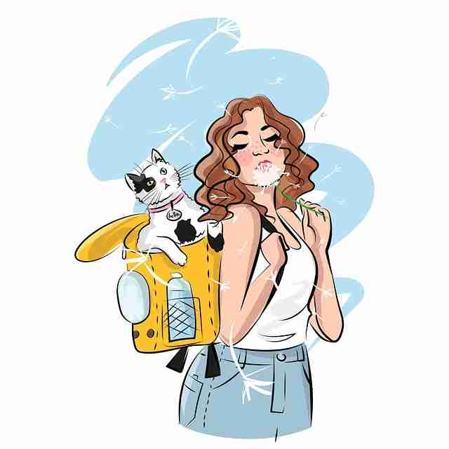 p站入口机制变化解读｜年度流行作品影响平台体验