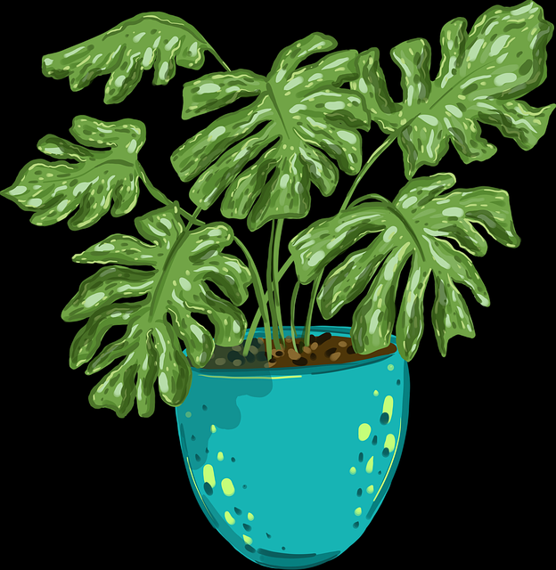 p站入口背后逻辑探索｜内容审核机制如何打造闭环