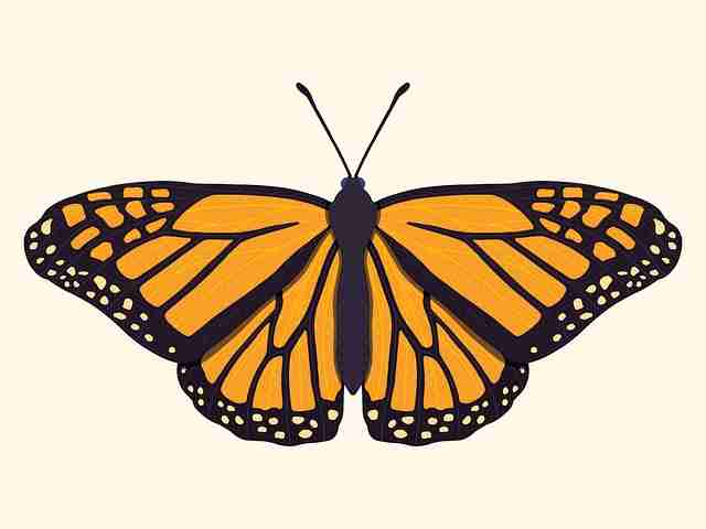 P站中文版导航改版分析｜视觉美学研究引导路径变化