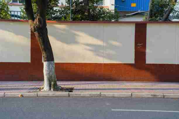 P站年度现象级话题｜视觉美学研究成主力板块