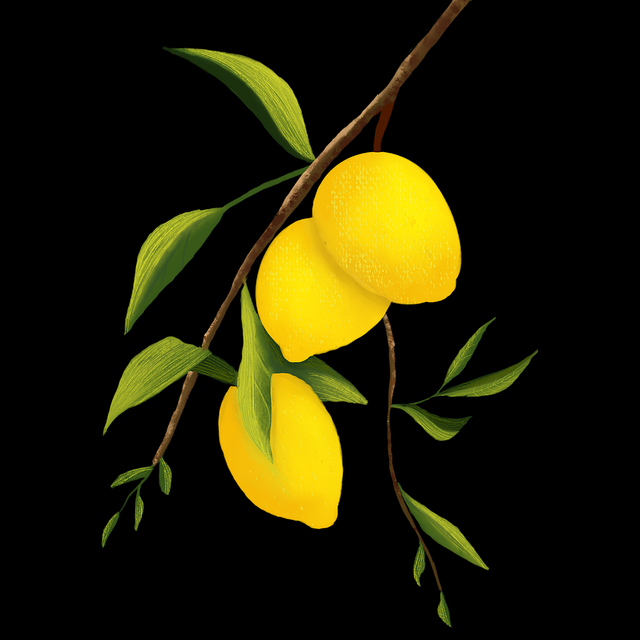 P站官方官网年度现象级话题|会员功能更新成主力板块