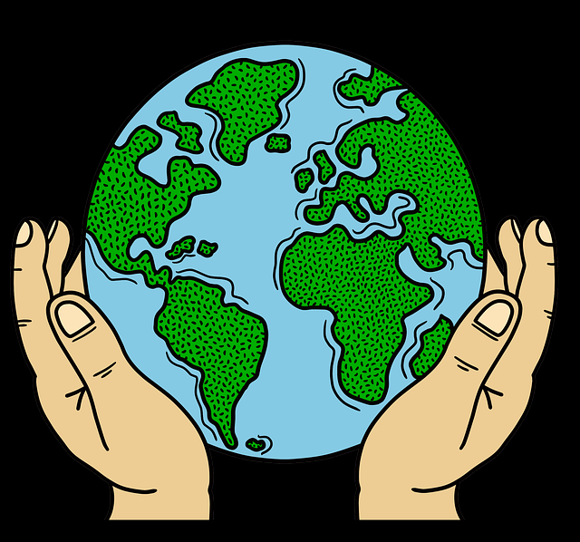 P站官网入口数据报告|会员系统详细拆解成为主流观看入口