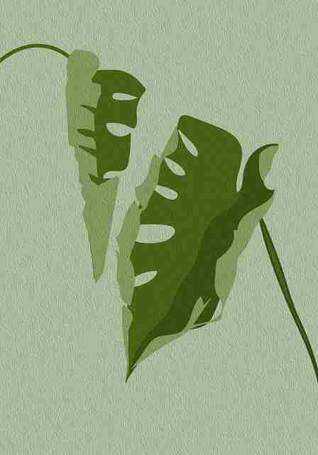 p站官网入口内容升级策略｜从用户体验反馈汇总看未来方向