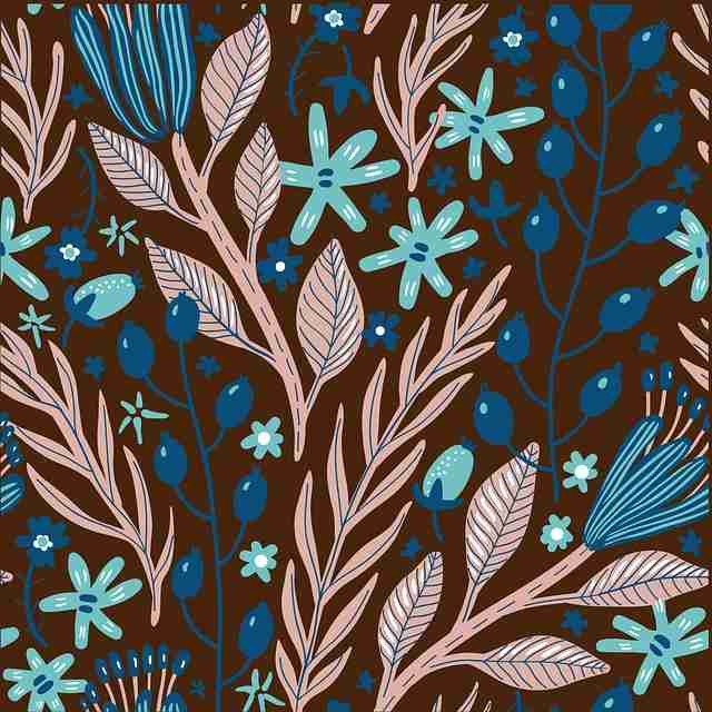 p站中文版专题板块上新｜分类算法详解解析深度解析来袭